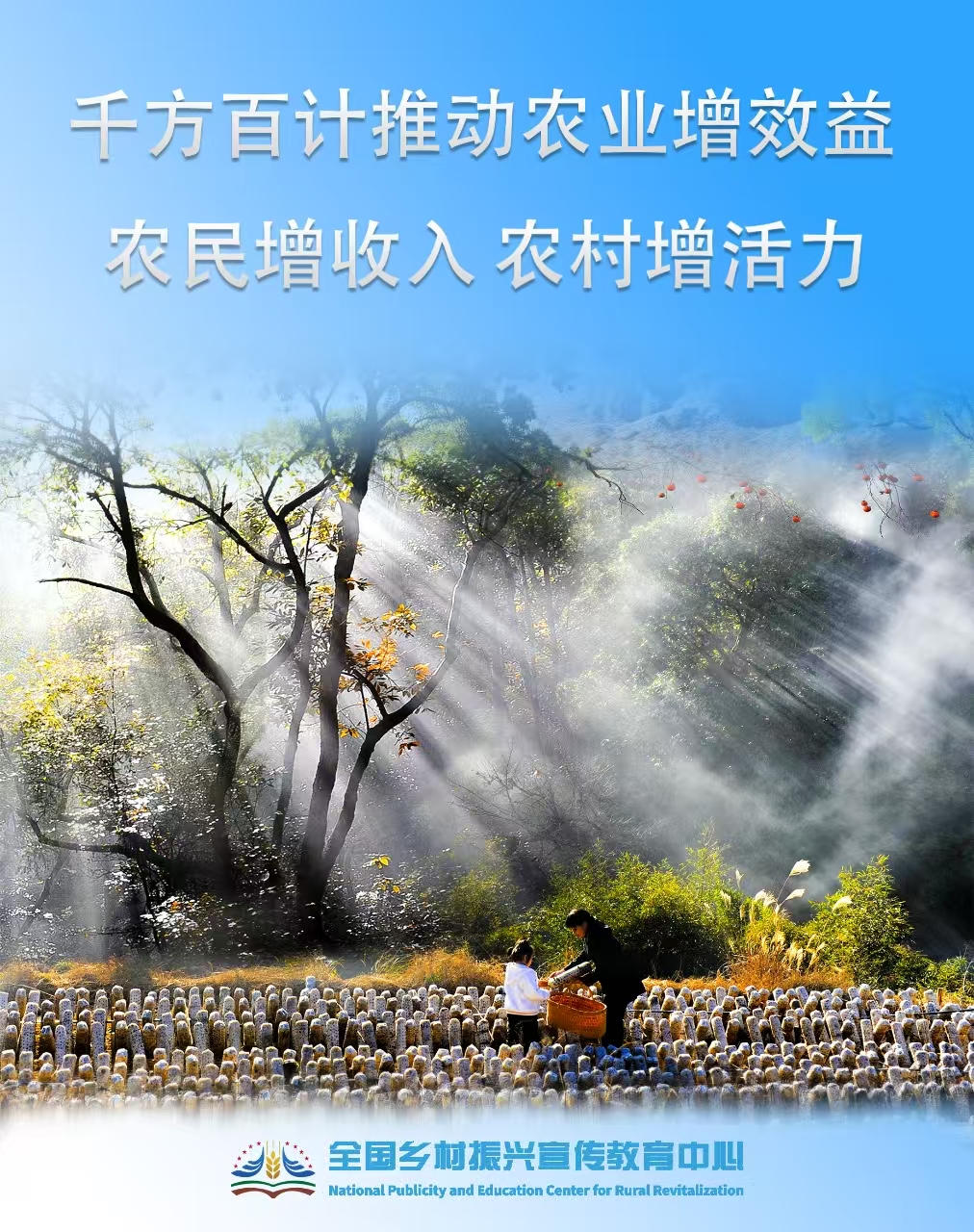 微信图片_20250214161130.jpg