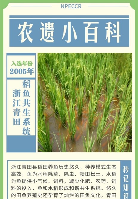 屏幕截图 2025-10-29 174855.jpg