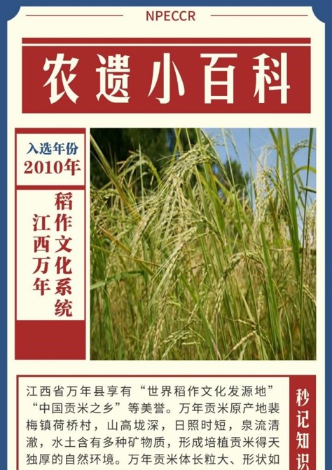 屏幕截图 2025-10-30 121548.jpg