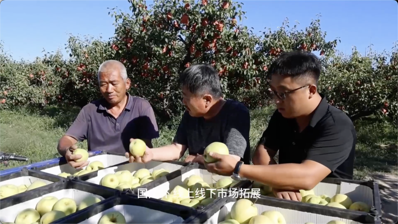图片5.png