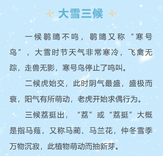 微信截图_20241207014858.png