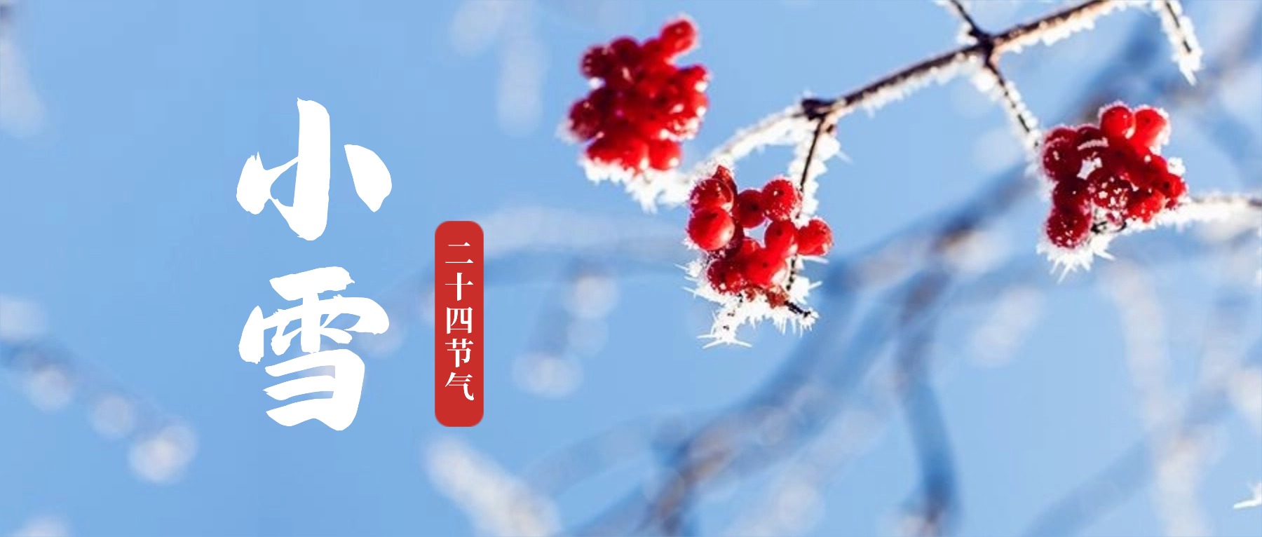 小雪实景公众号首图.jpg